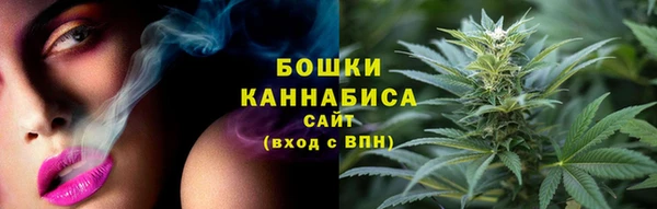 индика Ханты-Мансийск
