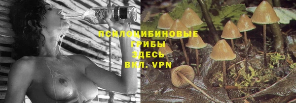 прущие крисы Баксан