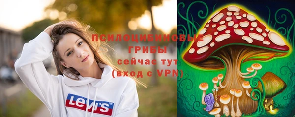 индика Ханты-Мансийск