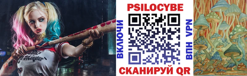 Купить где  Белозерск  Псилоцибиновые грибы Psilocybe 